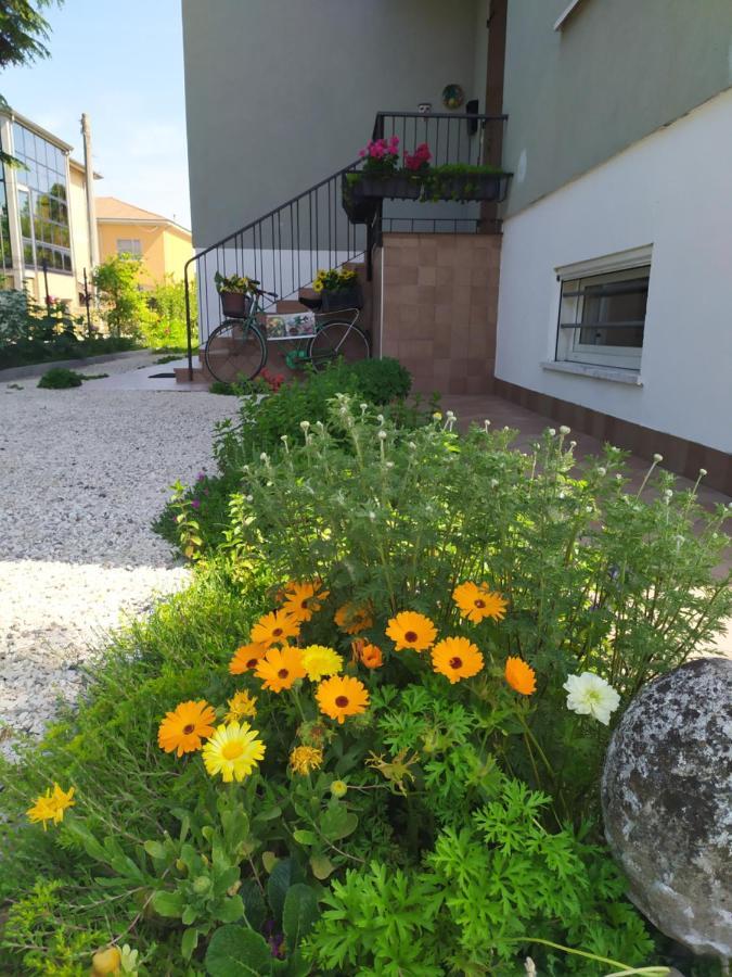 Casa Vacanze I Giardini Di Marzo San Giorgio di Mantova Dış mekan fotoğraf